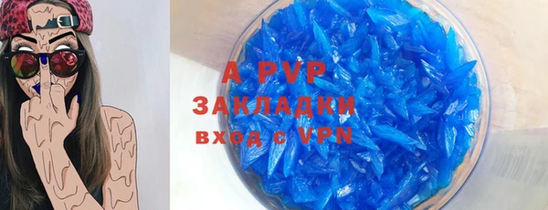 сатива Белоозёрский