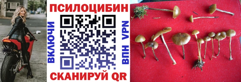хочу наркоту  Облучье  Псилоцибиновые грибы мицелий 