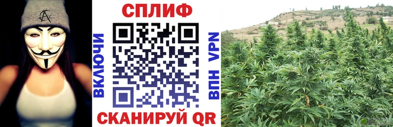 МАРИХУАНА тримм  где продают   Облучье 